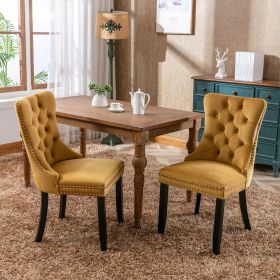Modern High-end Tufted Solid Wood Contemporary Velvet Upholstered Dining Chair with Wooden Legs and Spike Head Trim 2-piece Set, Gold